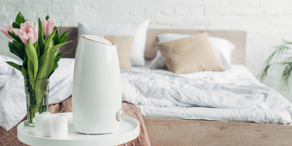 Air Purifier Cleaning: Keeping Your Home Fresh and Healthy
