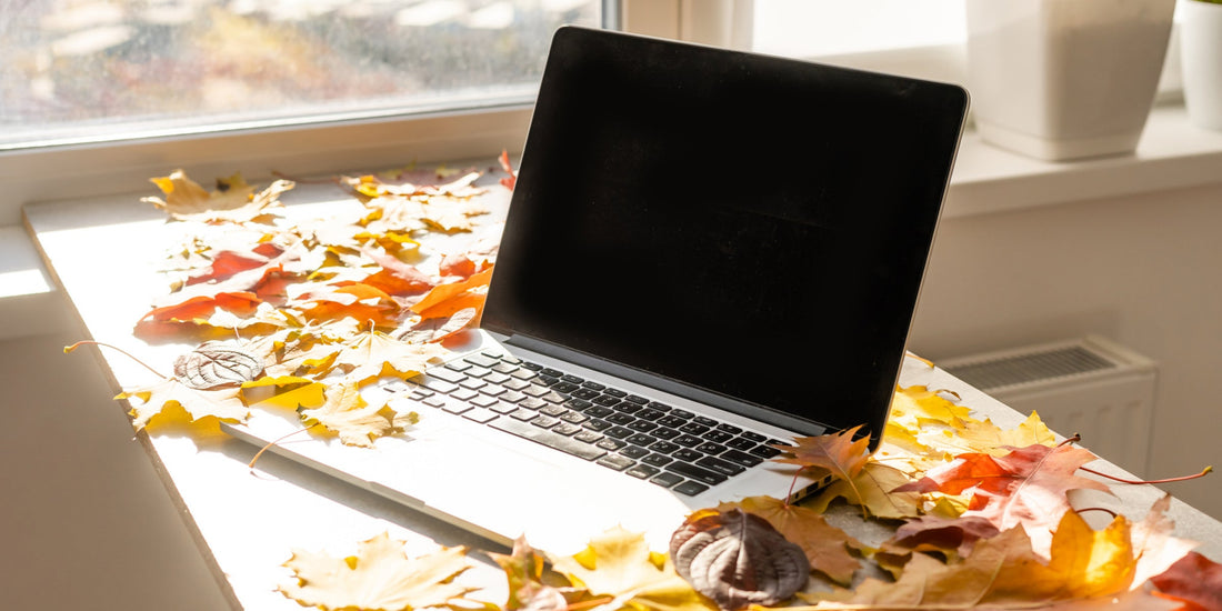 5 Ideas on How You Can Celebrate Thanksgiving at Work