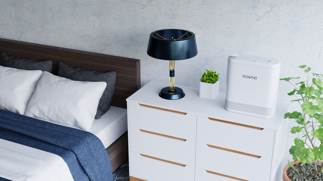 Are Air Purifiers Effective Against Mold Spores?