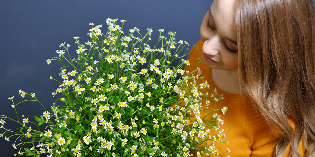 Welcoming New Beginnings: The Spring Equinox Festivity