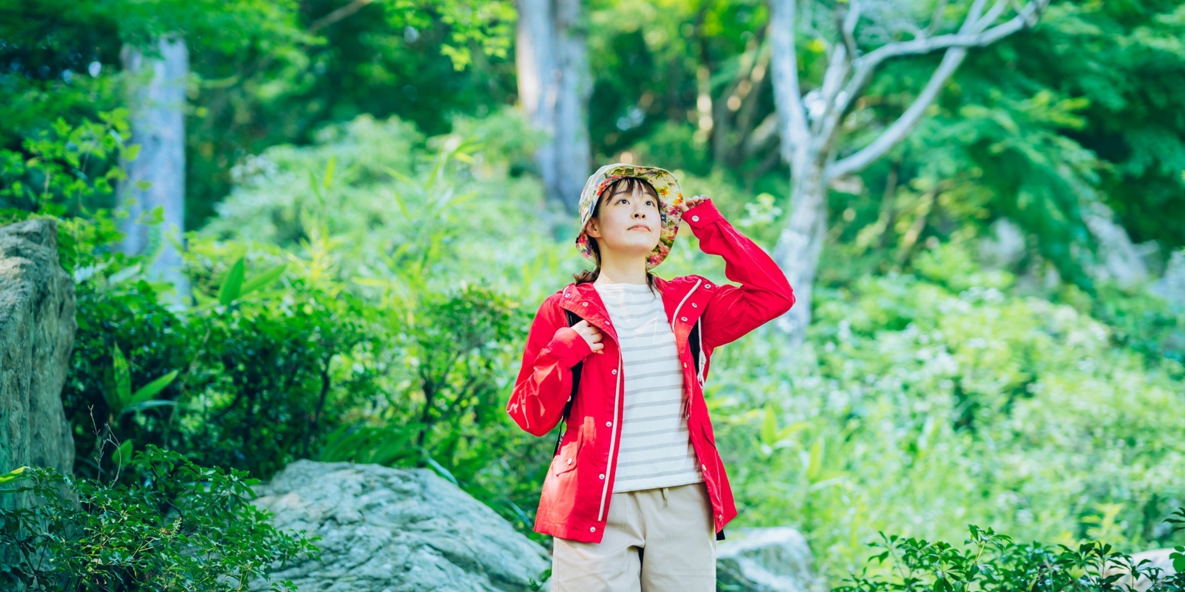 Basking in Green: Exploring the Benefits of Forest Bathing