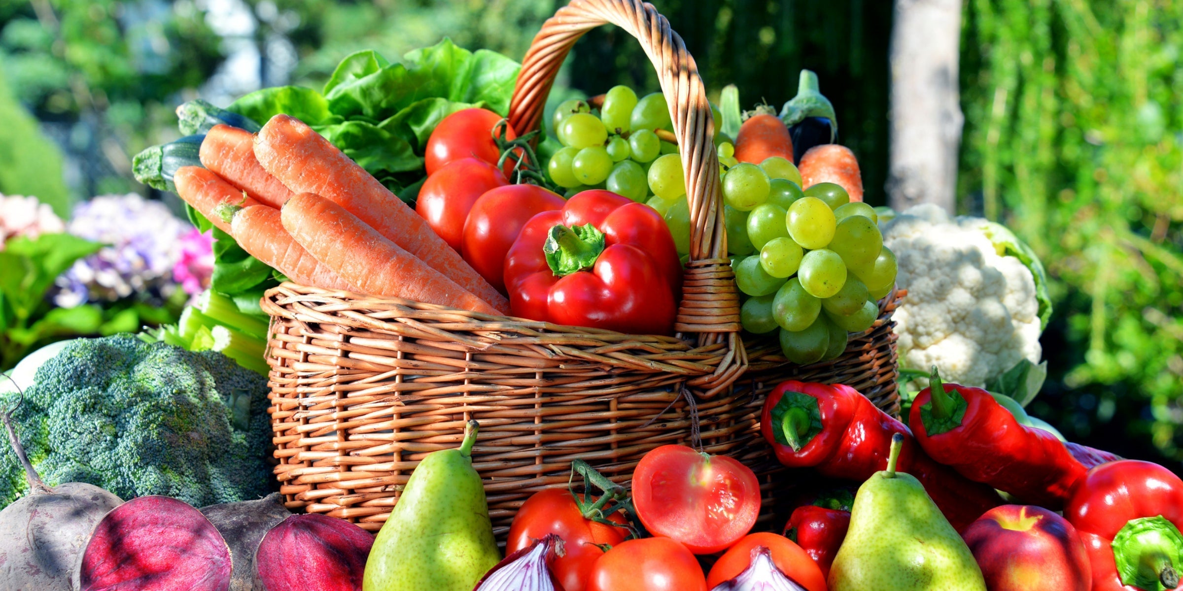 Spring's Bounty: A Guide to the Freshest Fruits and Vegetables for You – RENPHO US