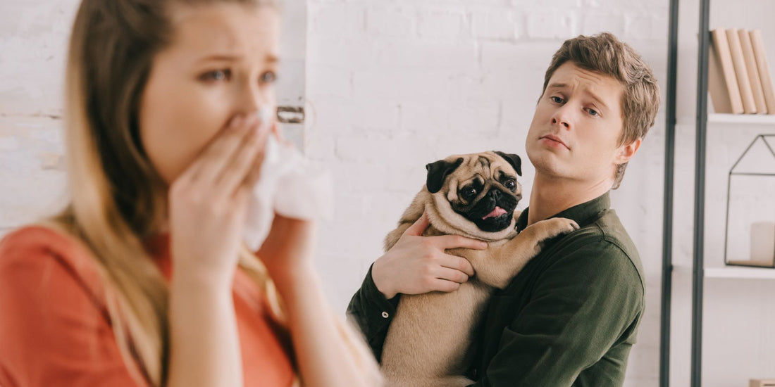 Furry Friends & Sneezes: Navigating Pet Allergies at Home