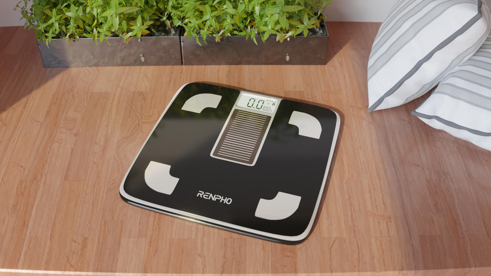 Cracking the Code: BMI and Body Fat Percentage