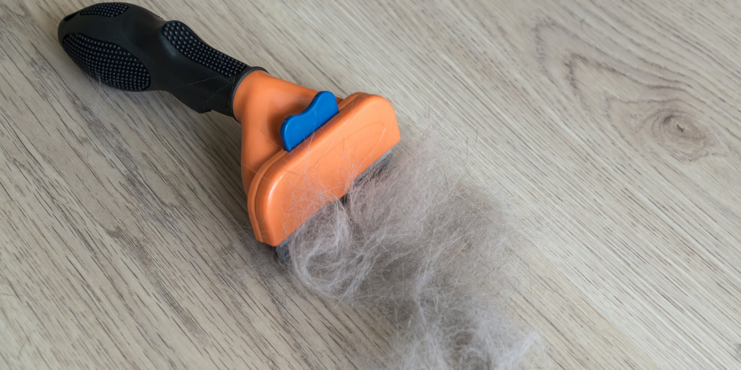 Ditching Pet Dander: Your Guide to Allergy-Free Bliss!