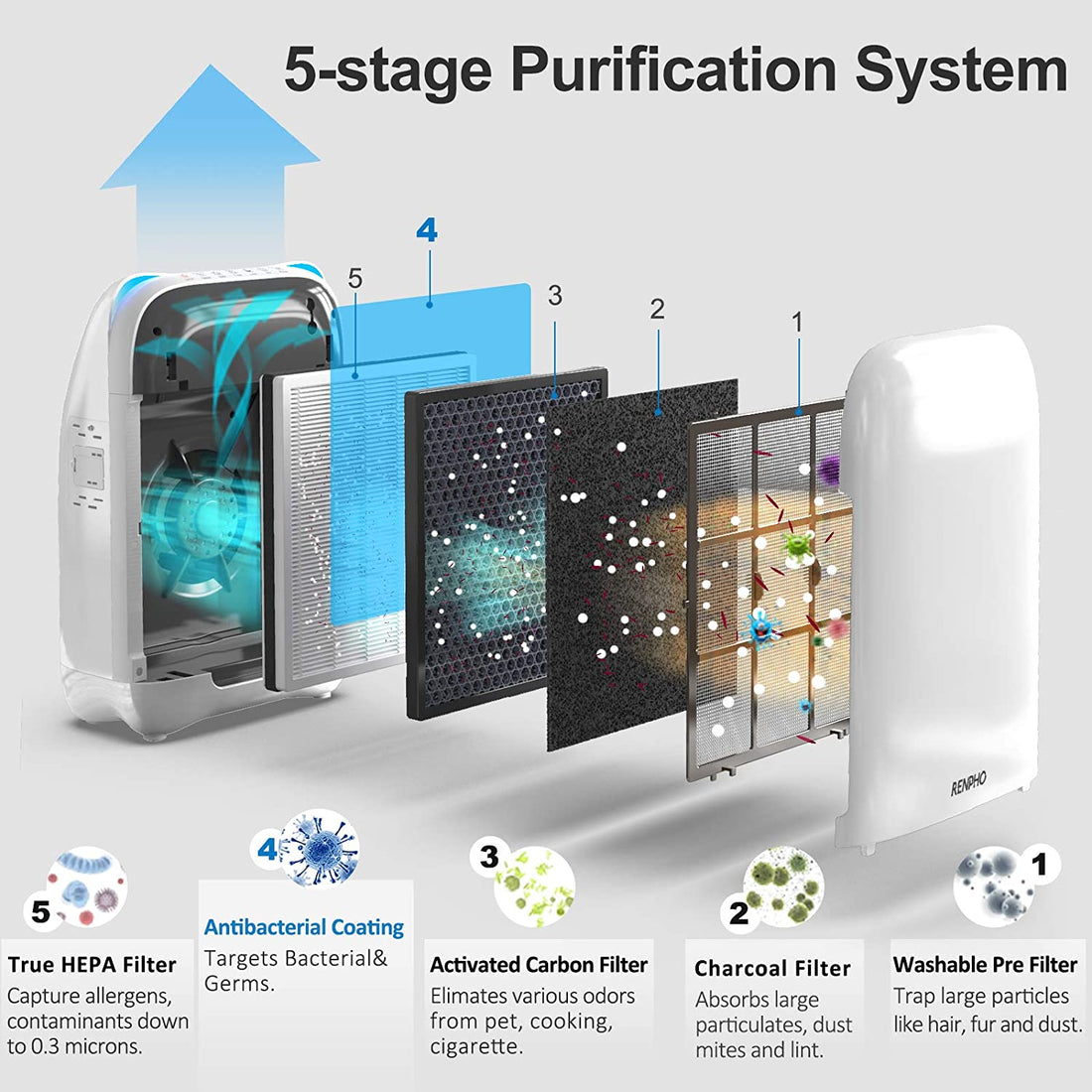 How and When Should I Clean/Replace My Renpho Air Purifier’s Filter? （Model RP-AP001）