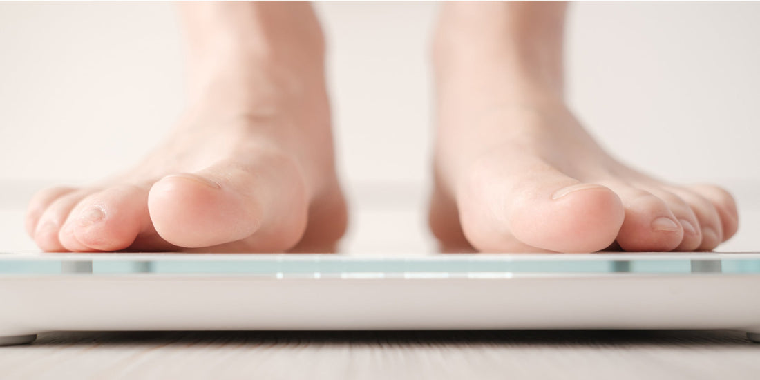 How Does the RENPHO Smart Scale Measure Body Fat