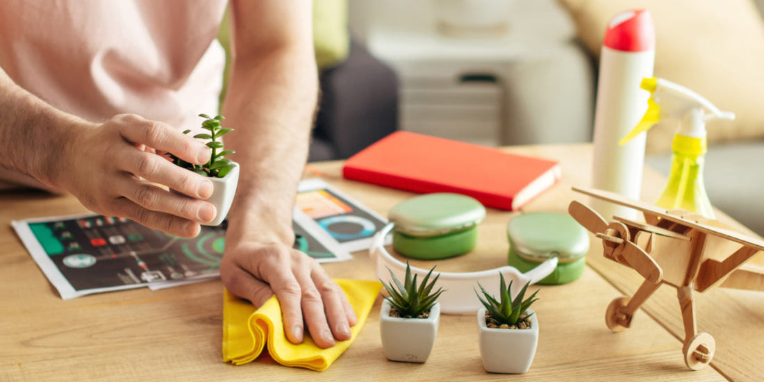 Why is Spring the Perfect Season to Renew Your Space?