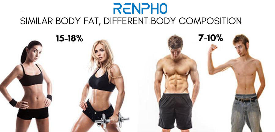 What is Body Composition?