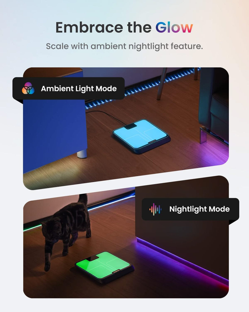 Image showcasing two modes of the Elis Chroma Smart Scale by Renpho. The top section illustrates the Ambient Light Mode, highlighting a mat beside furniture with a soft glow. The bottom section displays the Nightlight Mode with a cat walking nearby, featuring vibrant, multicolored lighting under furniture, similar to the versatility of the Renpho Health app.