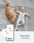 A baby lies on a grey blanket next to a fluffy orange cat, highlighting both for comparison. The baby wears a white bodysuit with blue prints. Text around the baby gives head and height measurements. Below, a smartphone screen shows the RENPHO Health app with body measurements input fields. Text reads, “Baby Mode: Documenting your baby’s growth journey with the Renpho Smart Tape Measure BMF01.”