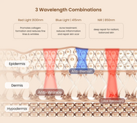 Artemis LED Light Therapy Mask