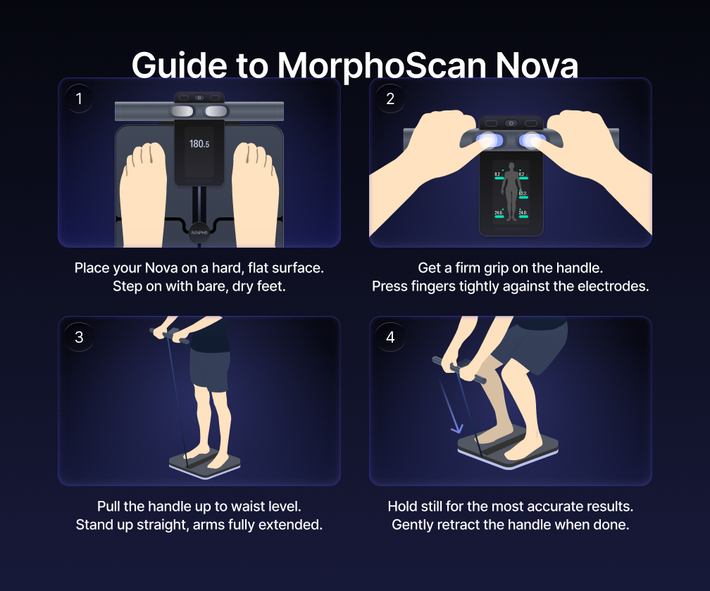 How to use RENPHO Nova smart scale, step by step guide
