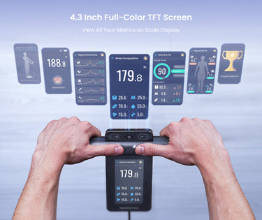 MorphoScan Nova Body Composition Scale