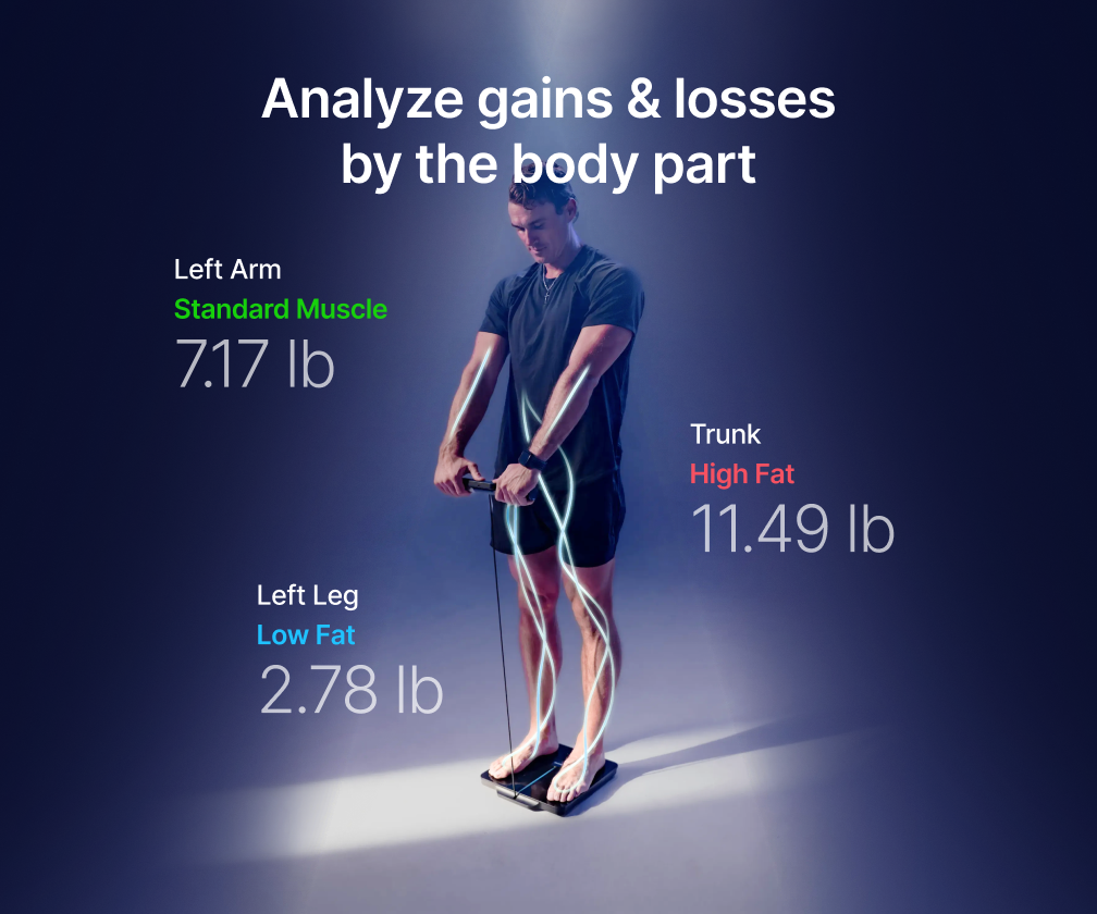 RENPHO Nova segmental body composition analysis