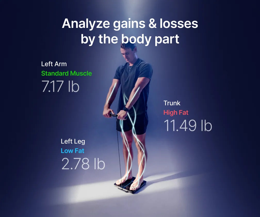 RENPHO Nova segmental body composition analysis