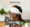 Eyeris Zen Eye Massager